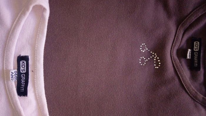 Lot de 2 tee-shirts manches longues - photo numéro 3