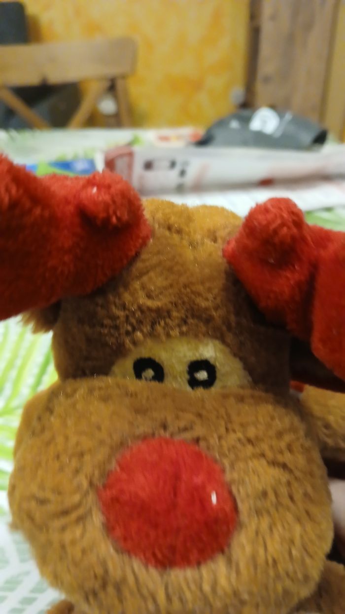 Renne de noel - photo numéro 3