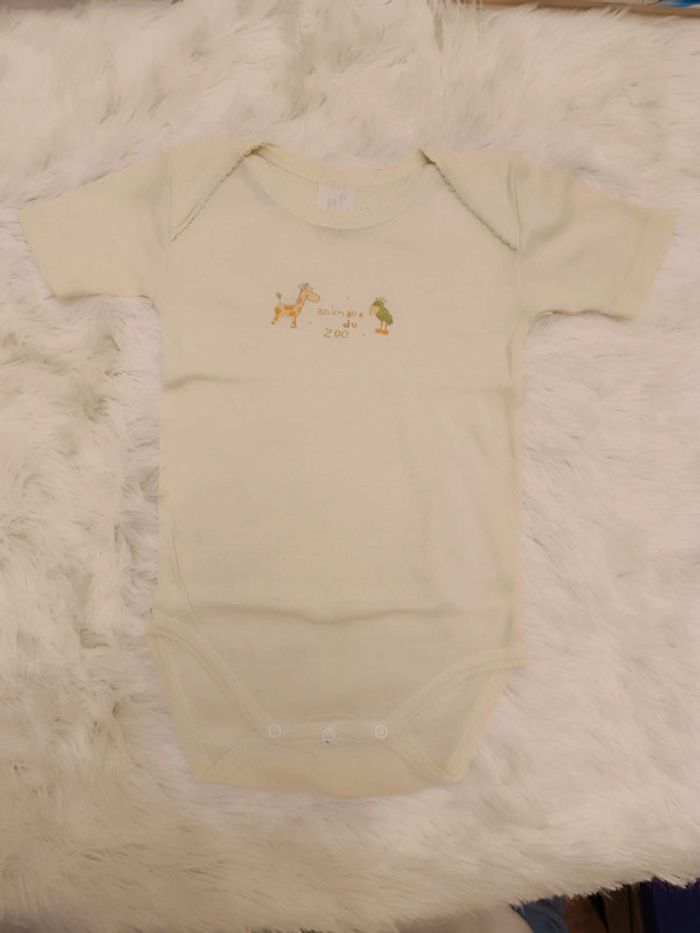 Lot 4 bodies manches courtes T. 12 mois Absorba - photo numéro 17