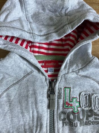Sweat zippé capuche bébé 12 mois 