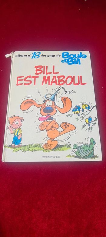 Livre Bill est Maboul