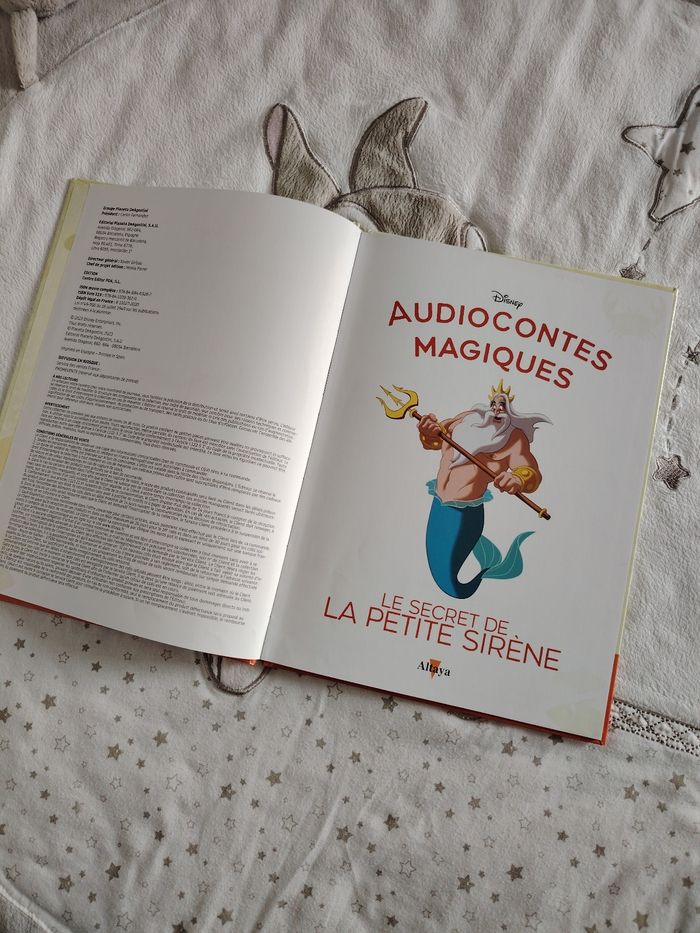 Livre ariel - photo numéro 2