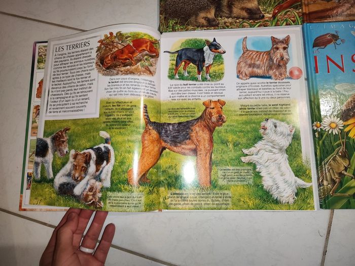 Lot de 4 livres sur l'imagerie animale - photo numéro 3