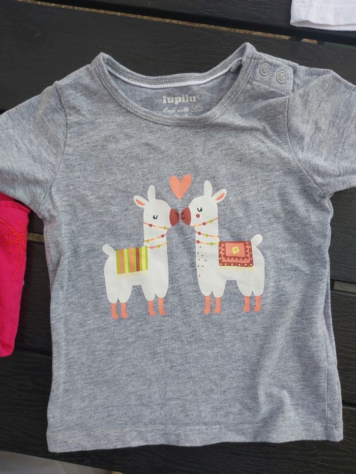 Lot 5 Tee-shirts 12mois - photo numéro 3