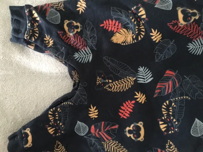 Ensemble salopette + t-shirt manches longues petit béguin 9 mois - photo numéro 5