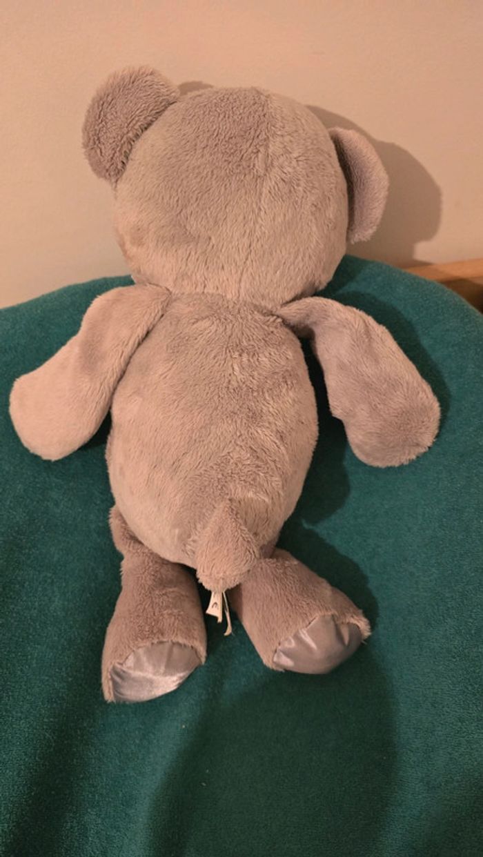 Ours en peluche 🧸 - photo numéro 2