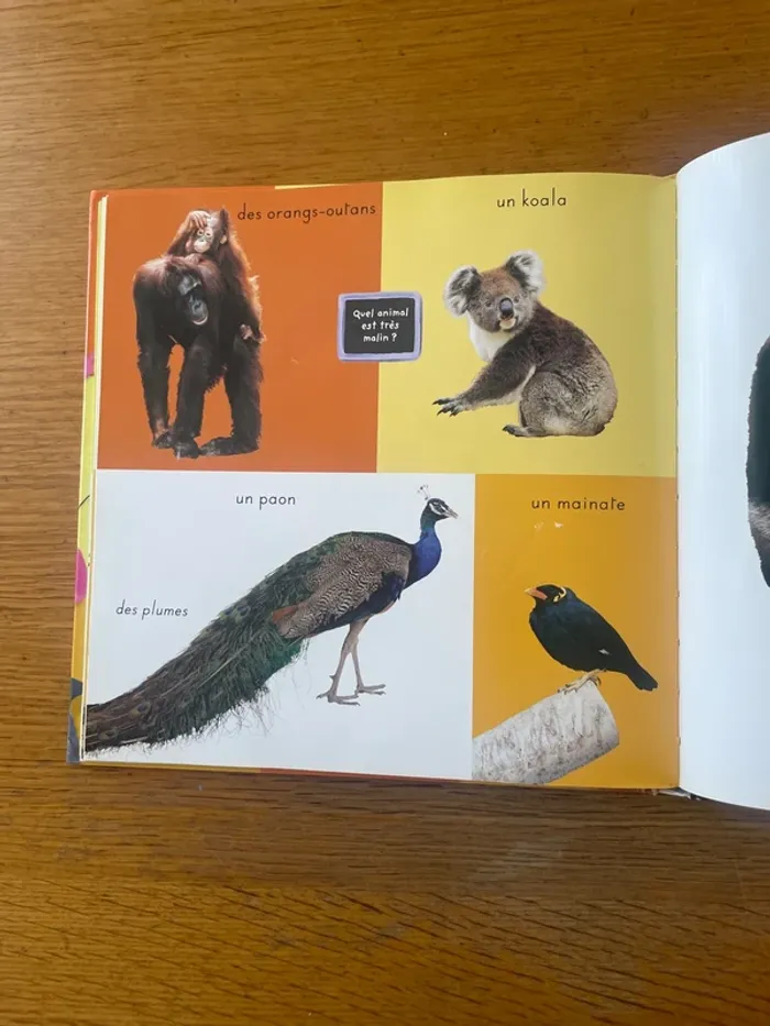 L’imagerie photos des animaux - photo numéro 3