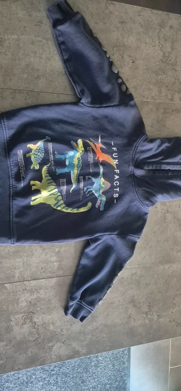 Pull a capuche Dinosaures garcon - photo numéro 2