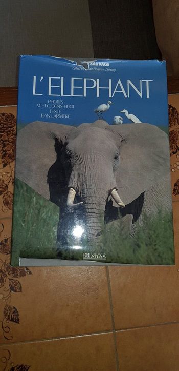 L'éléphant