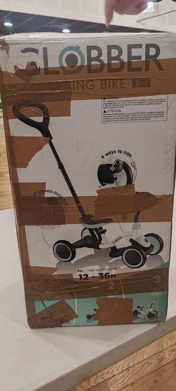 Velo évolutif globber