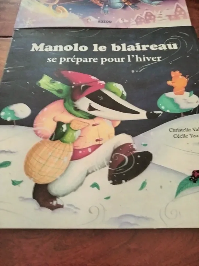 Lot de 2 livres mes p'tits albums azuro et Manolo le blaireau auzou - photo numéro 3
