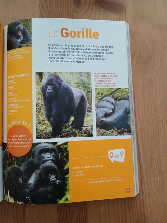 Mon encyclopédie Animaux - photo numéro 3