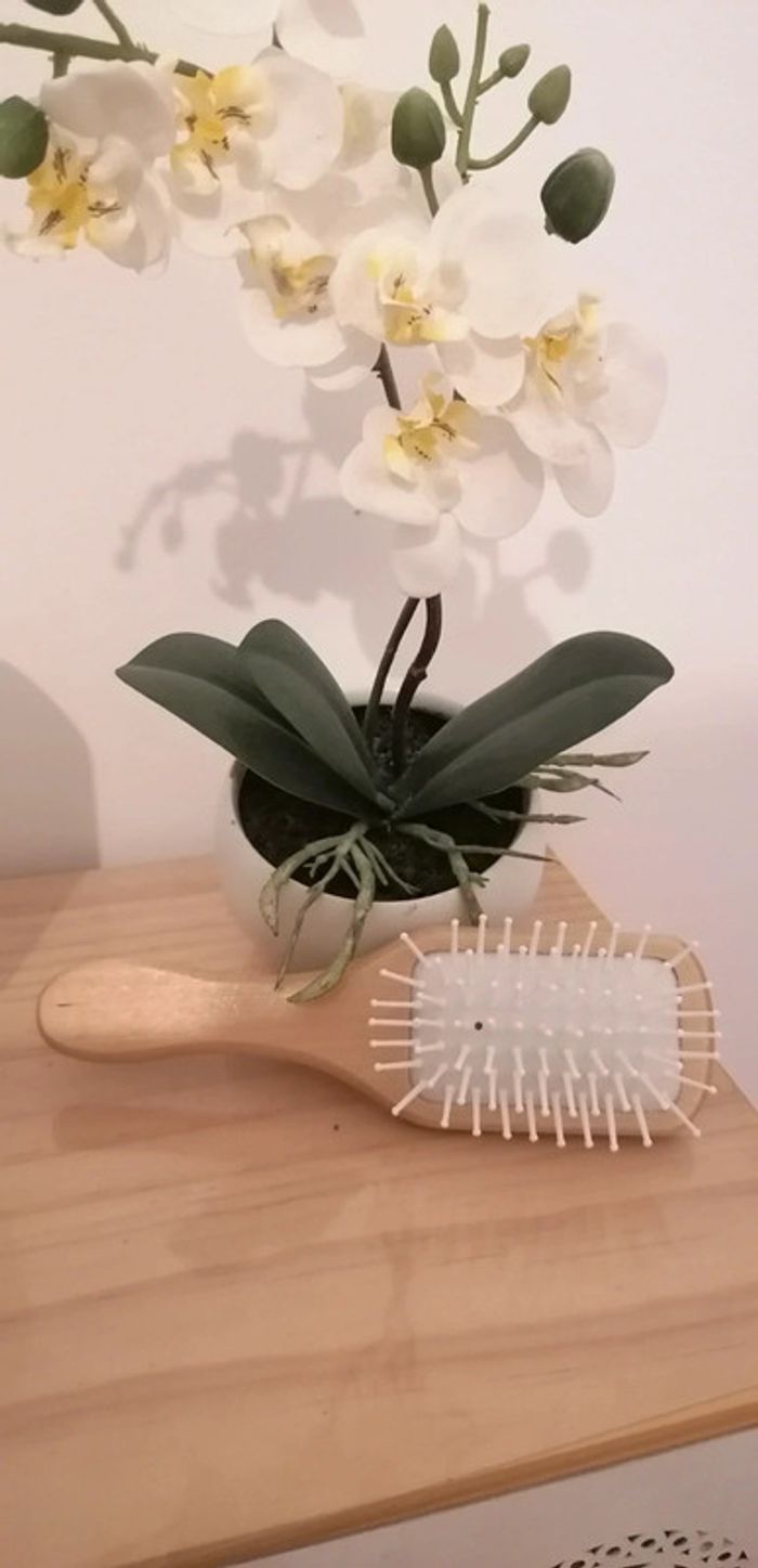 Brosse en bois neuve