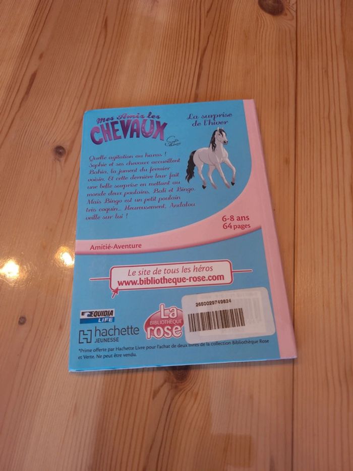 Livre mes amis les chevaux la surprise de l hiver - photo numéro 2