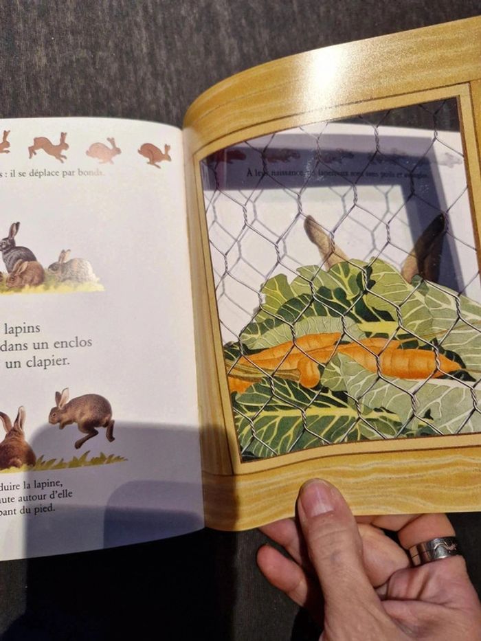 Livre magique cache cache - photo numéro 7