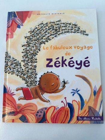 Livre Le fabuleux voyage de zékéyé