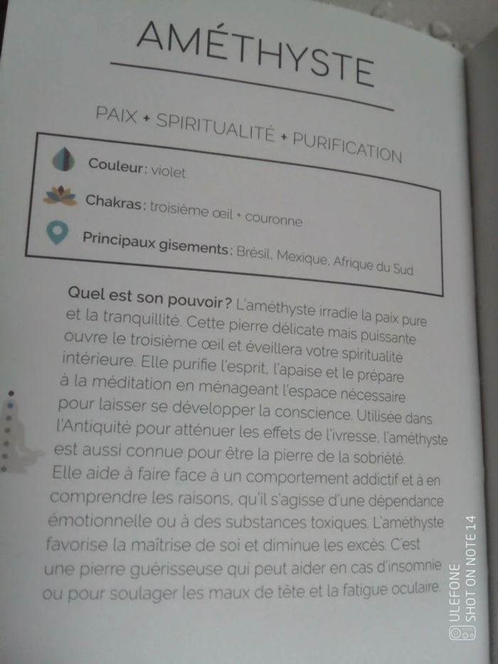 Collier serpent lune et améthyste 💜. - photo numéro 2