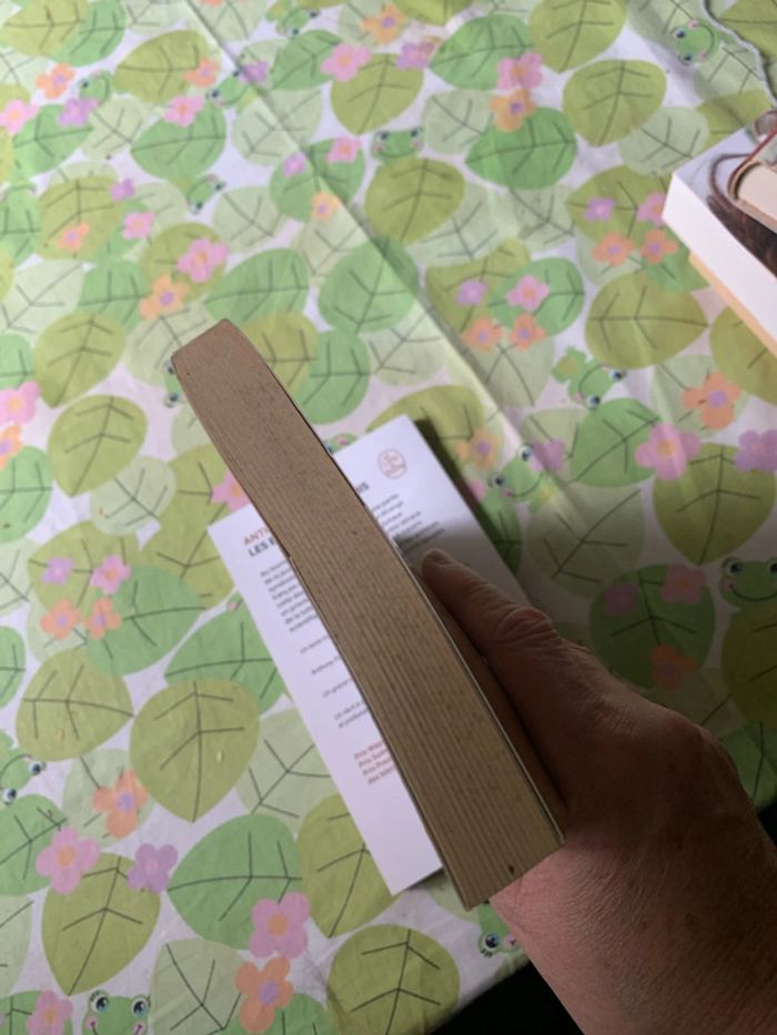 Lot romans - photo numéro 20