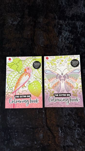 Lot de 2 livres de coloriage 
