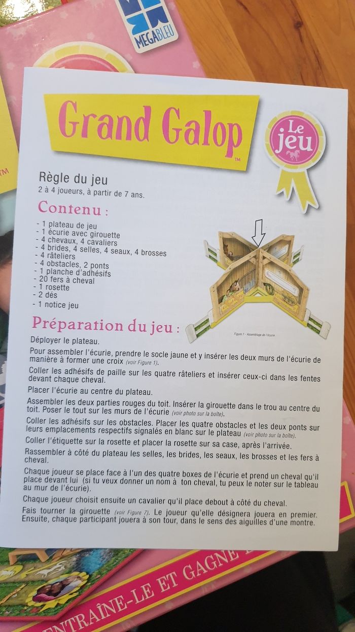 Grand galop - photo numéro 5