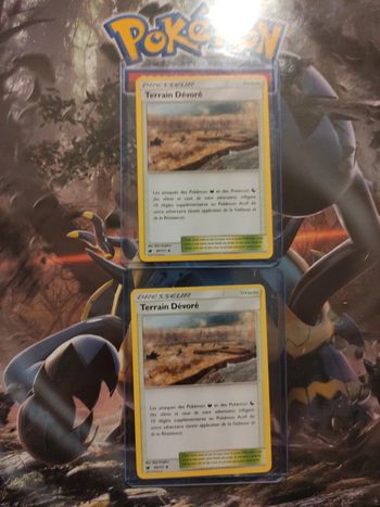 Terrain dévoré X2 dresseur invasion carmin