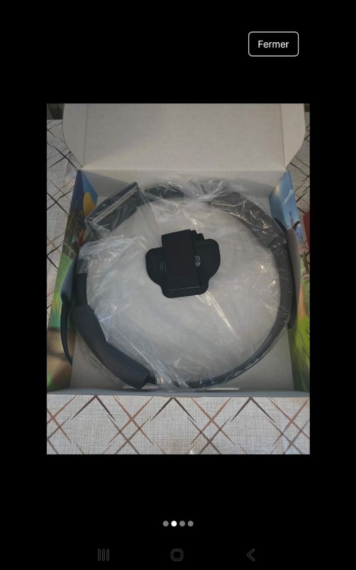 Jeu switch ring fit - photo numéro 2