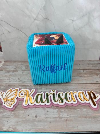 housse et stickers v2 