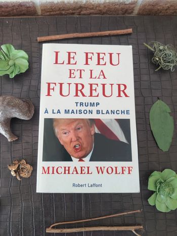 Le feu et la fureur / Trump à la Maison Blanche