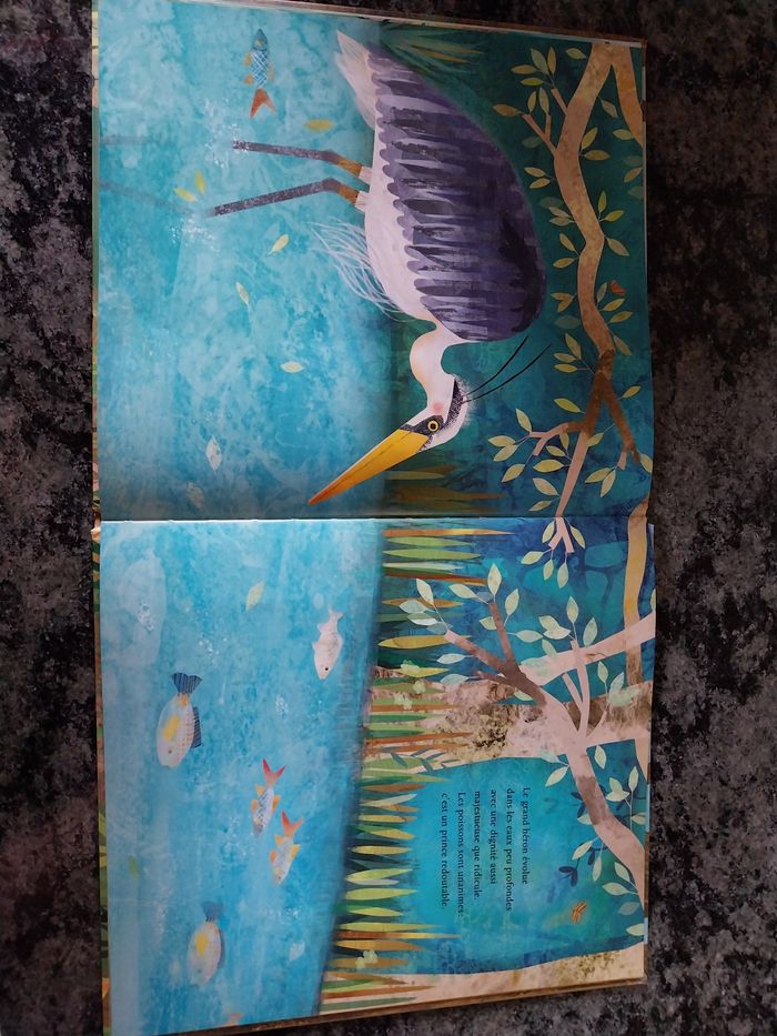 Livre - photo numéro 3