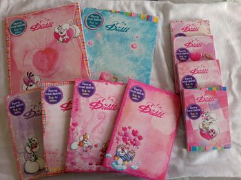 Lot de 10 feuilles diddl collection cœur 