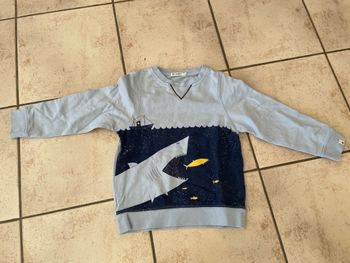 Sweat fin 6ans requin Billybandit