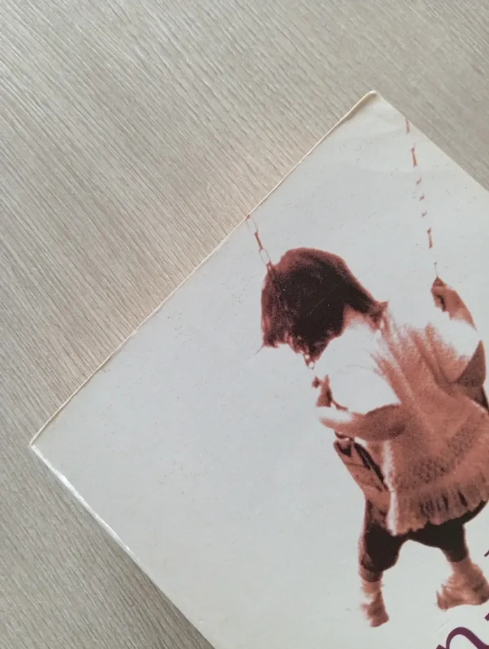 Livre Le Vol du Corbeau - photo numéro 3