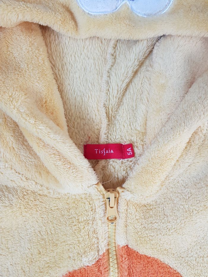 Combi Lion 5 ans - photo numéro 4