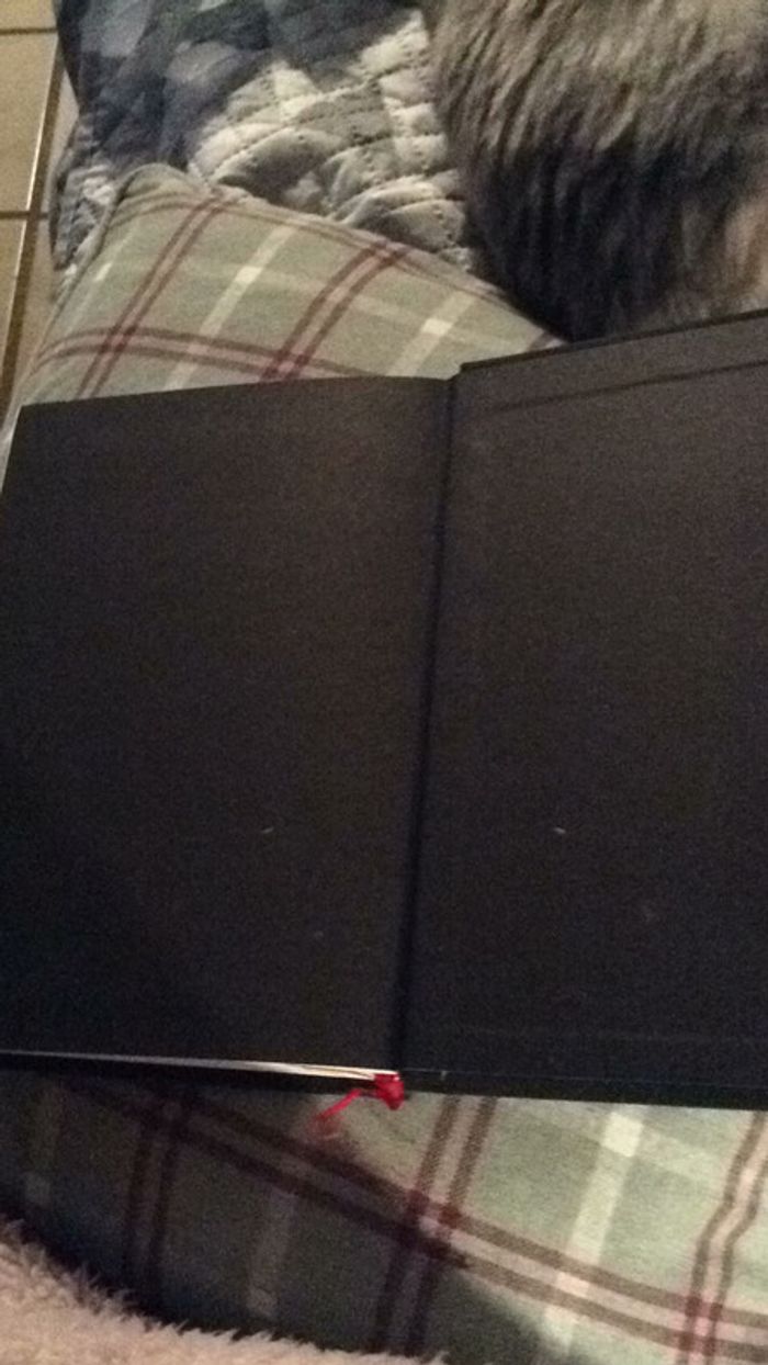 L’été Finit sous les tilleuls Mar Michel Haedens - photo numéro 6