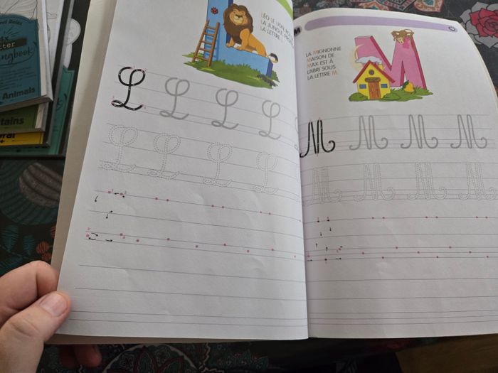 Livre d activités sur les majuscules cursives - photo numéro 8