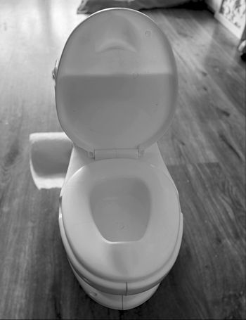 Mini toilette d’apprentissage 