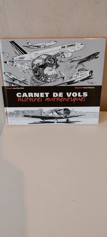 Carnet de vols - Histoires authentiques
