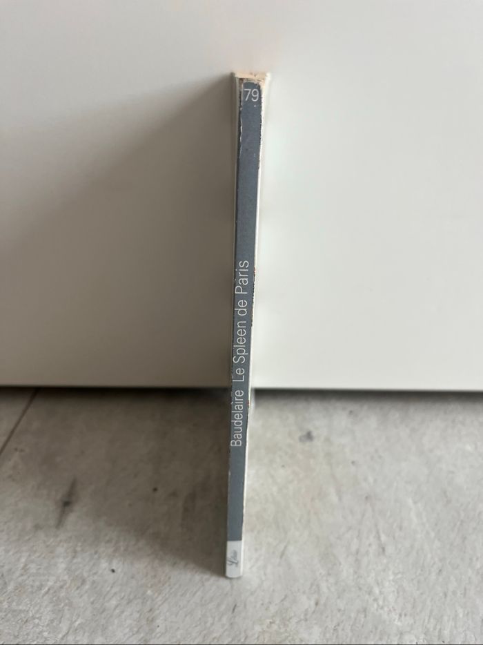 Le Spleen de Paris de Baudelaire - photo numéro 3