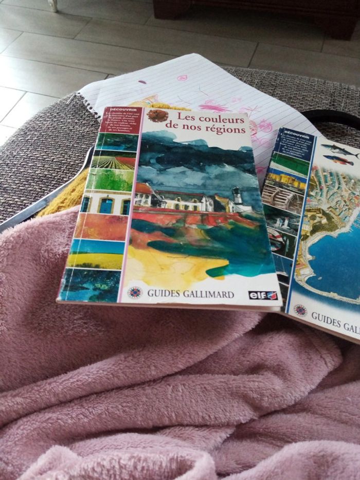 3 guides gallimard - photo numéro 2