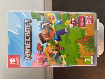 Minecraft SWITCH