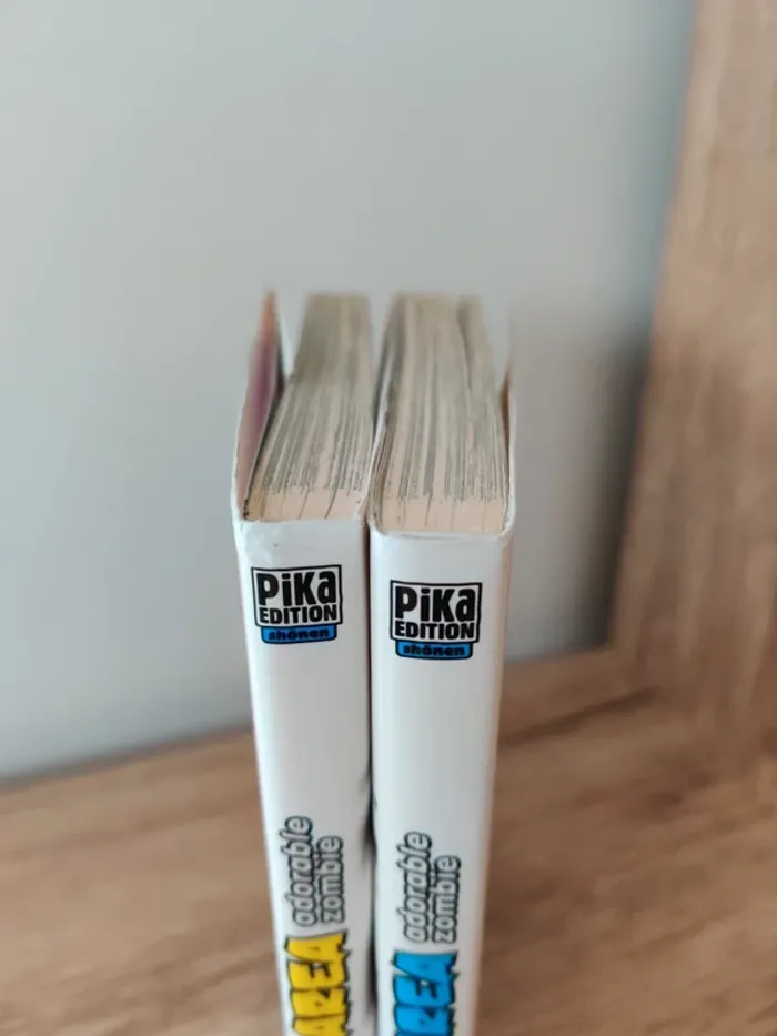 Mangas Sankarea tomes 1 et 2 - photo numéro 3