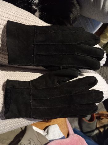 Paire de gants doublés