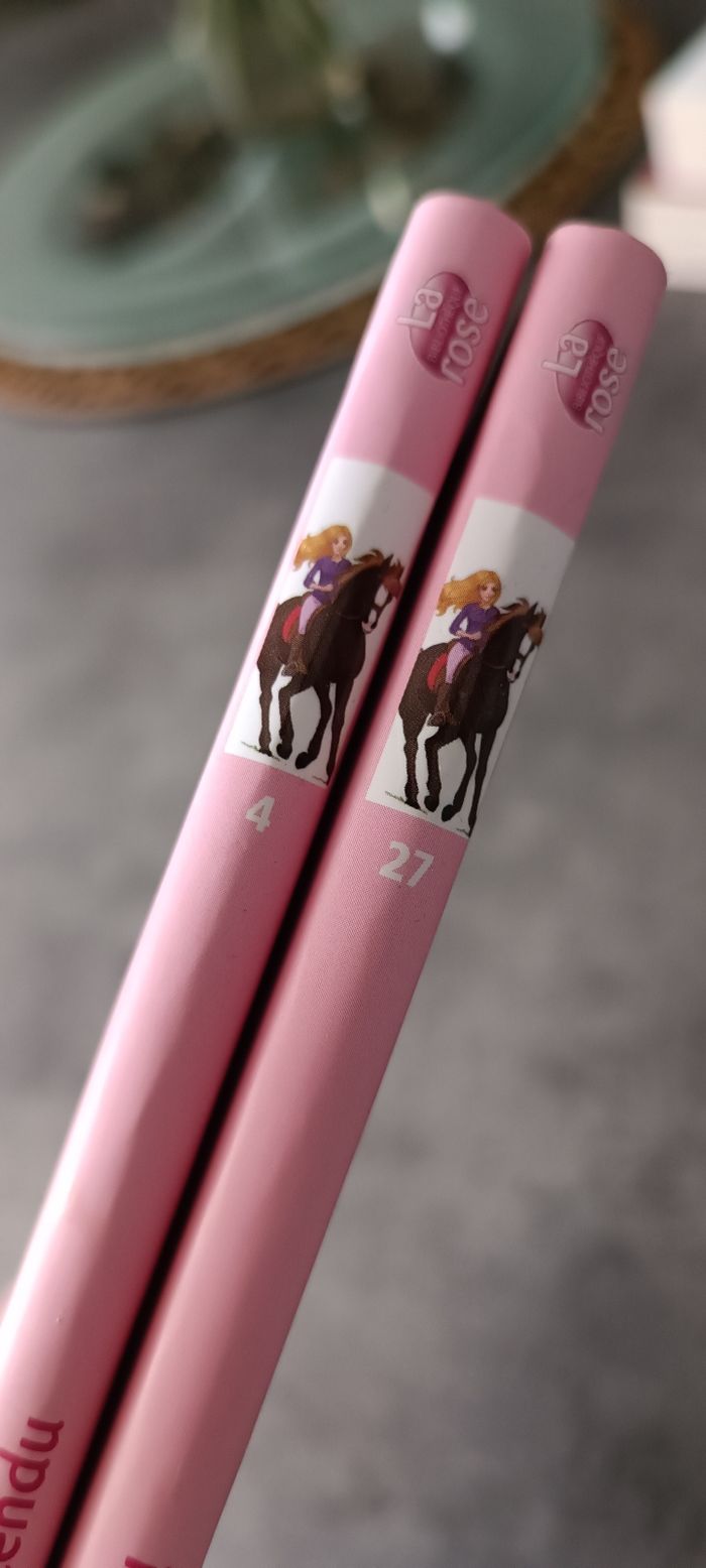 2 livres mes amis les chevaux - photo numéro 2