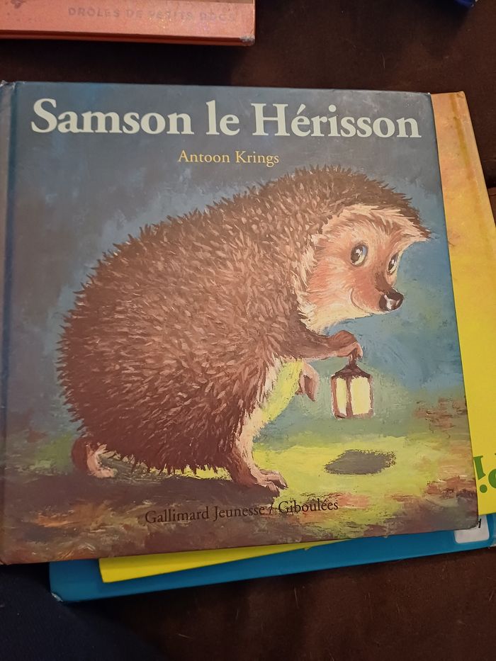 Lots 13 livres9 Antoon Krings - photo numéro 4