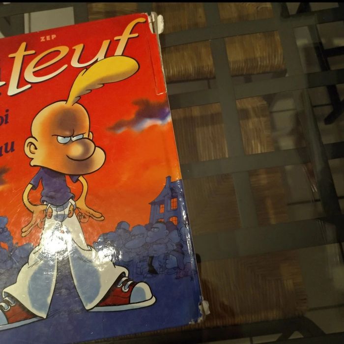 Album double Titeuf - photo numéro 4