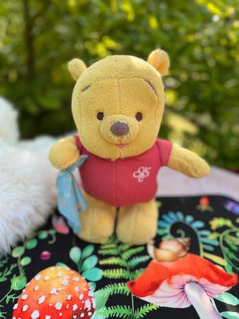 Winnie mais il ne fonctionne plus !