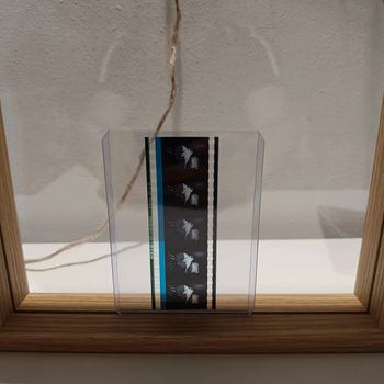 Pellicule démon slayer nezuko