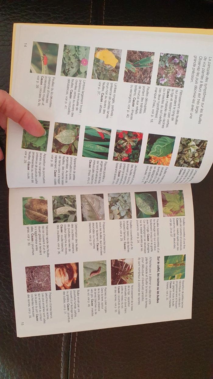 Livre " Soigner ses plantes de jardin " de chez Hachette pratique - photo numéro 9