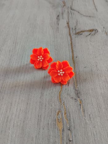 Boucles d'oreilles neuves