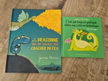 Lot de 2 livres sur les dragons